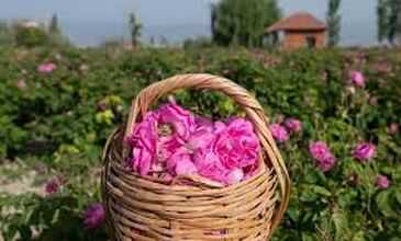 29-31 MAYIS 2026 ISPARTA GÜLLER ZAMANI TURU 1.ARAÇ