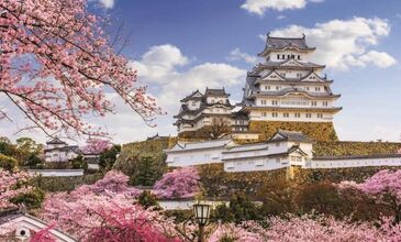  BÜYÜK JAPONYA+ SEUL TURU