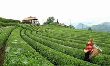 18-24 HAZİRAN 2026 BOYDAN BOYA BATI-DOĞU KARADENİZ &BATUM TURU