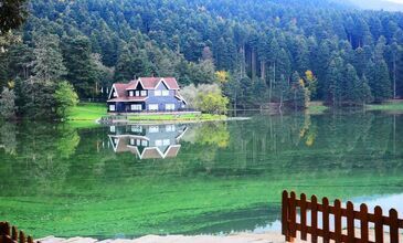 05-07 HAZİRAN 2026 ABANT & YEDİGÖLLER & GÖLCÜK&ORMANYA&MAŞUKİYE&BURSA TURU
