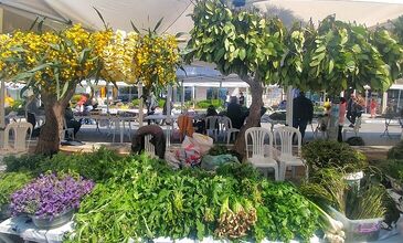 26 NİSAN 2026 ALAÇATI OT FESTİVALİ